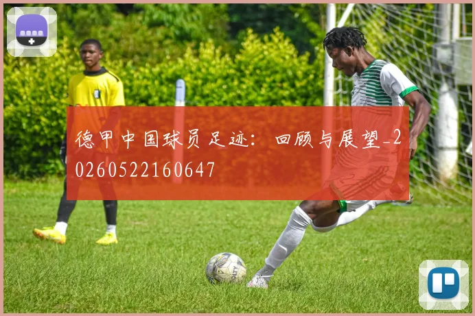 德甲中国球员足迹：回顾与展望_20260522160647