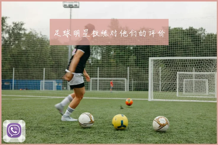 足球明星教练对他们的评价