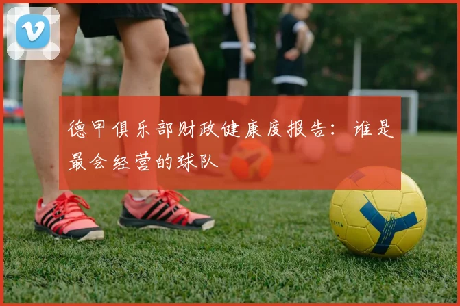 德甲俱乐部财政健康度报告：谁是最会经营的球队