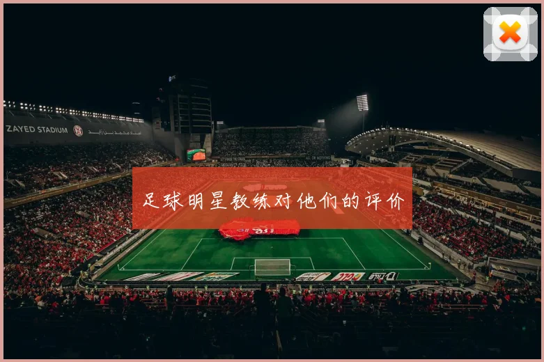 足球明星教练对他们的评价